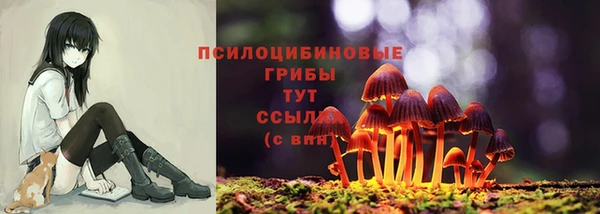 скорость Алзамай