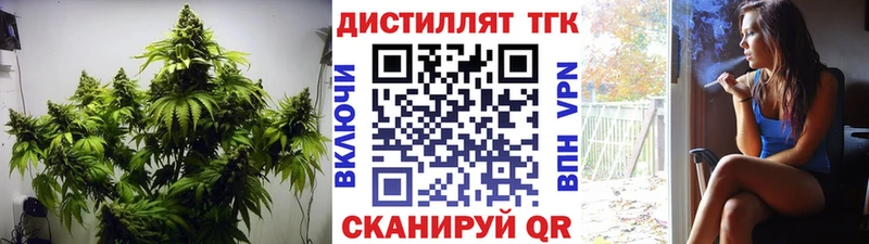 Дистиллят ТГК THC oil магазин наркотиков Лаишево